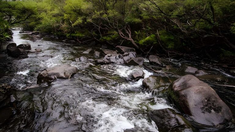 Gloucester river walking track (2. 5km)