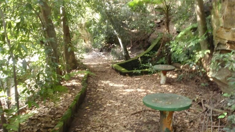 Kalkari & birrawanna loop tracks walk (5. 2km)
