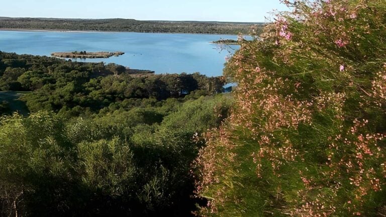 Lake Pollard Trail Walk (6km) Lake pollard trail walk (6km)