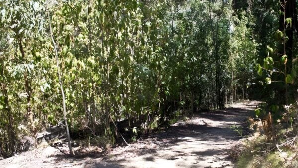 Sanctuary Loop Walk (2.1km) Sanctuary loop walk (2. 1km)
