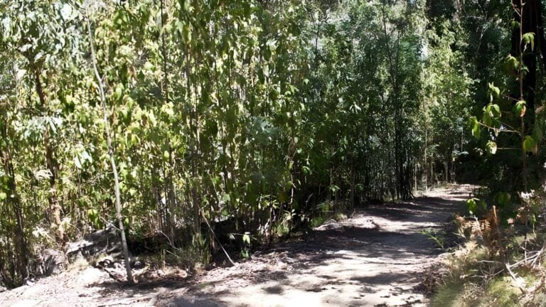 Sanctuary Loop Walk (2.1km) Sanctuary loop walk (2. 1km)