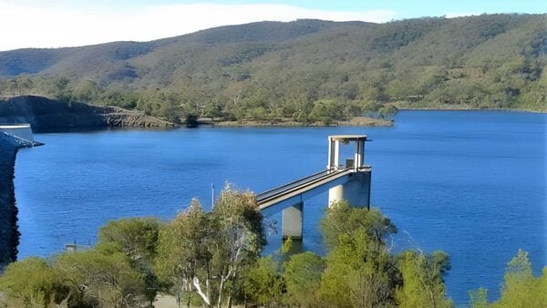 Black wallaby loop track (2. 6km)