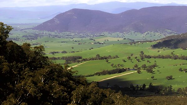 Campbells & ross lookouts hike (7. 5km)
