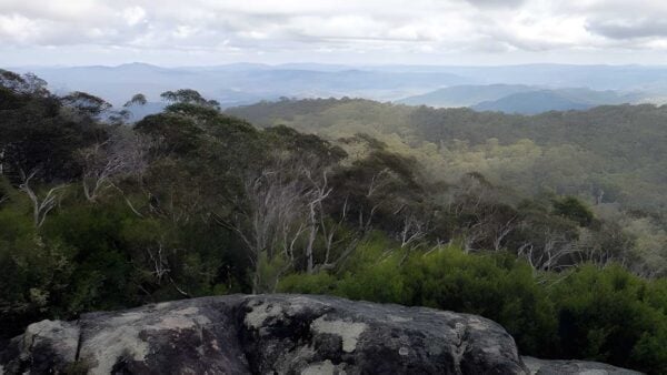 Hinces Creek & Hinces Saddle Hike (13.7km) Hinces creek & hinces saddle hike (13. 7km)