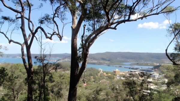Matcham to gosford hike (8. 5km)