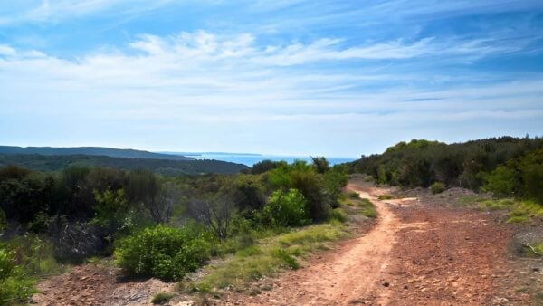 Moonee Beach Trail Walk (4km) Moonee beach trail walk (4km)
