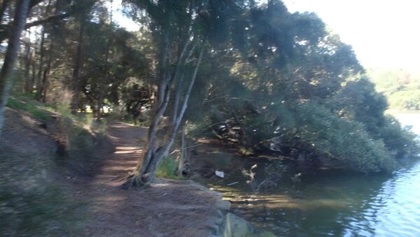 Morgans Creek to Padstow Hike (8km) Morgans creek to padstow hike (8km)