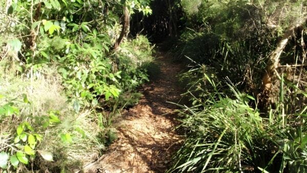 Norah Head Nature Trail Walk (2.2km) Norah head nature trail walk (2. 2km)