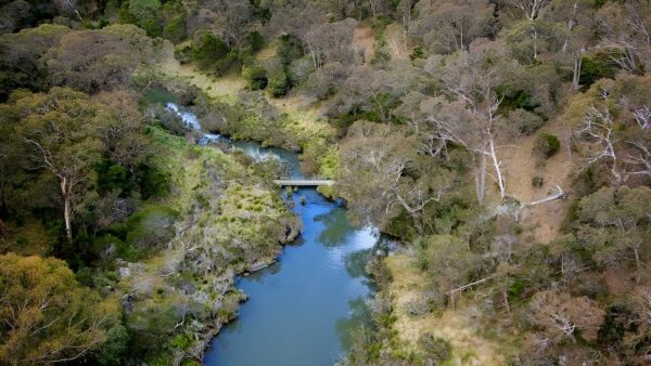 Tiara Walking Track (5km) Tiara walking track (5km)