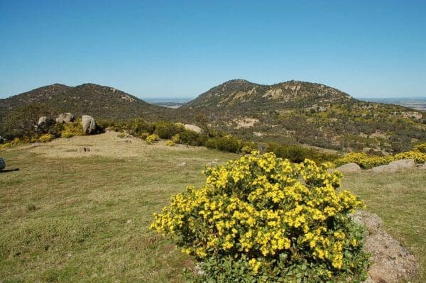 Trail hiking you yangs northern range circuit 600x399