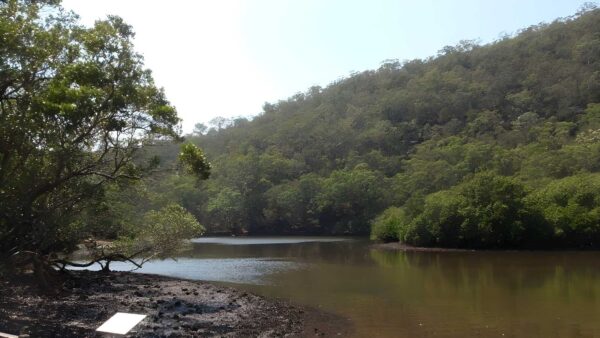 Wahroonga to mt kuring-gai hike (14. 7km)