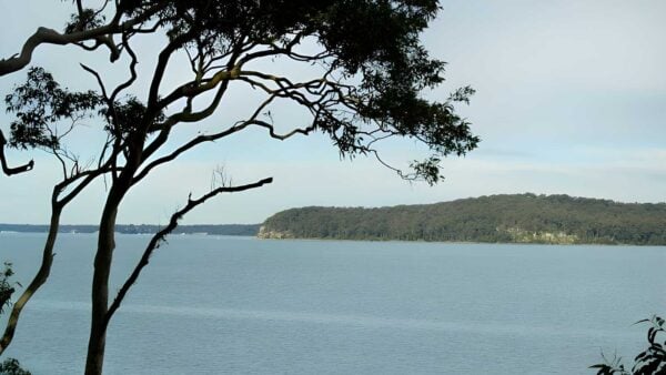 Wangi circuit walking track (1. 8km)