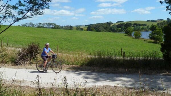 Hikes Great southern rail trail tarra trail 600x337