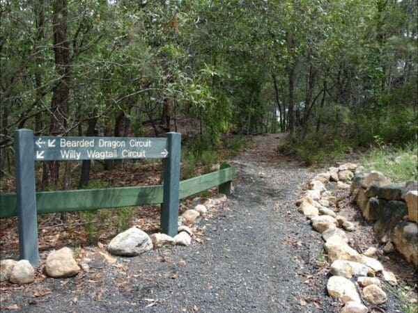 Hikes Haig street quarry trails 600x450