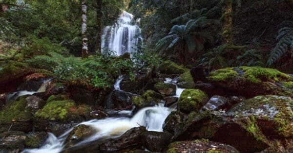 Ladder falls 600x315