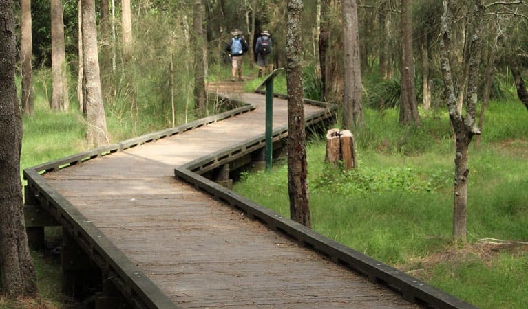 Place of Winds Interpretive Trail Walk (1.2km) Place of winds interpretive trail trail hiking australia