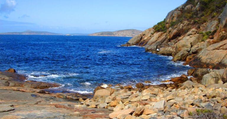 Twiggy's Landing & Shearwater Lookout Walk (1km) Twiggys landing and shearwater lookout walk 768x403