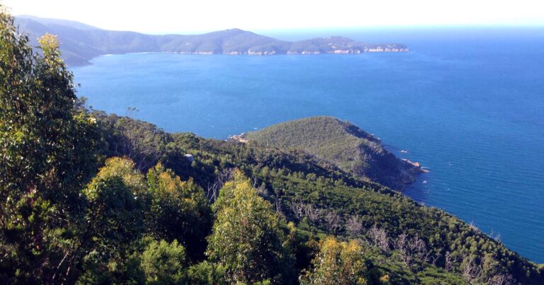 Wilson's promontory - south eastern circuit