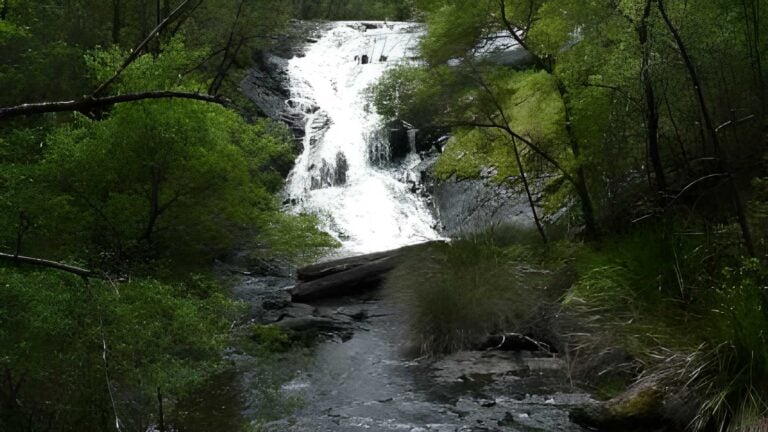 Beedelup falls loop walk (4. 5km)