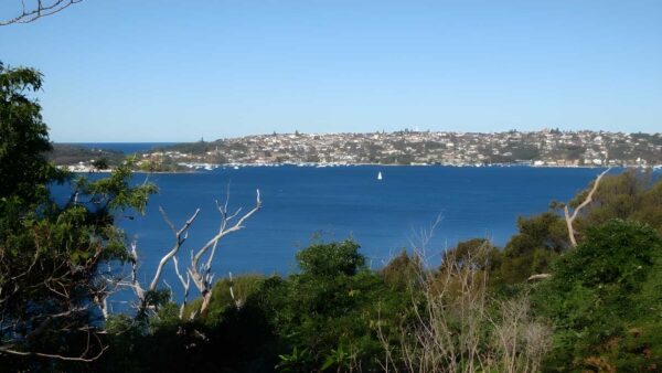 Chowder Bay to Middle Head Return - Chowder Bay Road Walk (5.1km) Chowder bay to middle head return - chowder bay road walk (5. 1km)