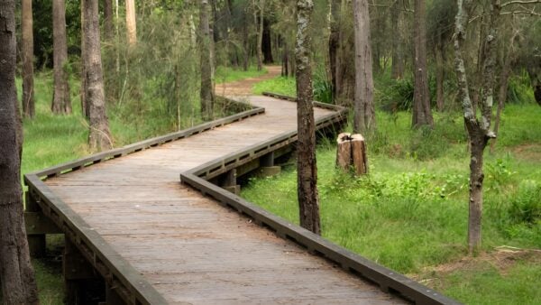 Place of winds interpretive trail walk (1. 2km)