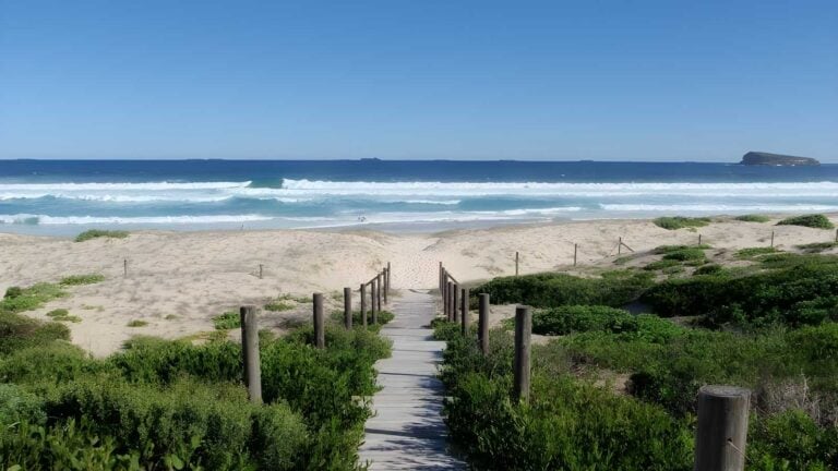 Tea Tree Picnic Area to Birdie Beach Walk (500m) Tea tree picnic area to birdie beach walk (500m)