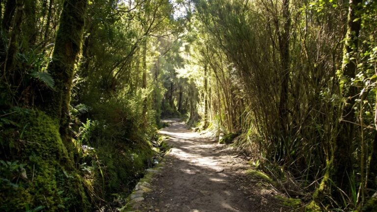 The Springs to Sphinx Rock Loop Walk (3.5km) The springs to sphinx rock loop walk (3. 5km)