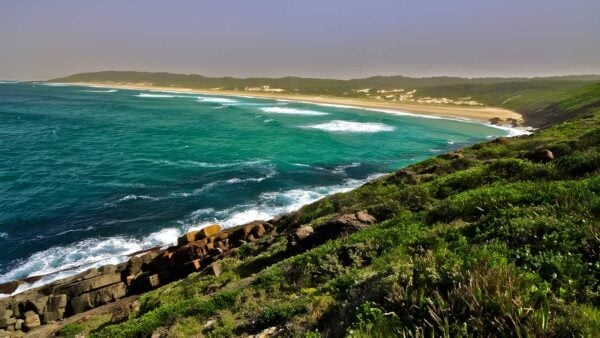 Treachery Headland Walking Track (2km) Treachery headland walking track (2km)