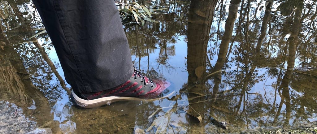 Ascent explore merlot shoe