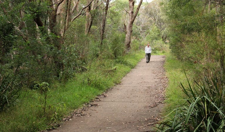 Bellamy Fire Trail Walk (600m) Bellamy fire trail trail hiking australia 1