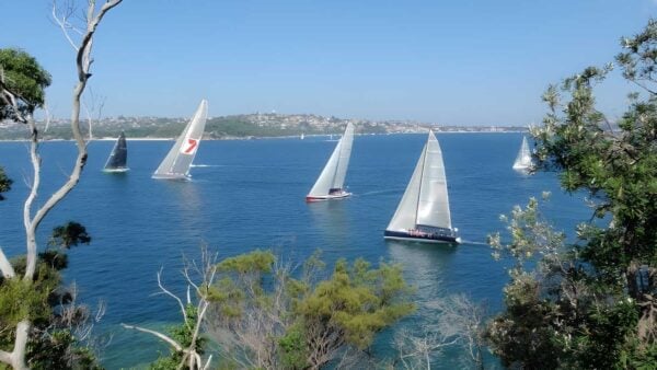 Bradleys head & chowder head walk (3. 7km)