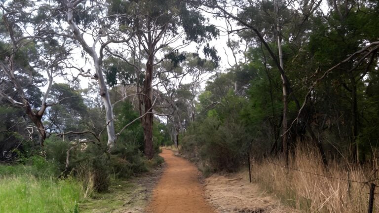 Brinktop reserve & richmond park track (5. 5km)