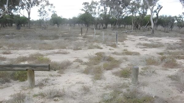 Culgoa Connellys Track (8km) Culgoa connellys track (8km)