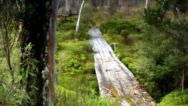 Gloucester tops circuit hike (8km)