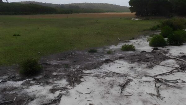 Hobart Beach Camping Area to Bondi Lake Walk (5km) Hobart beach camping area to bondi lake walk (5km)