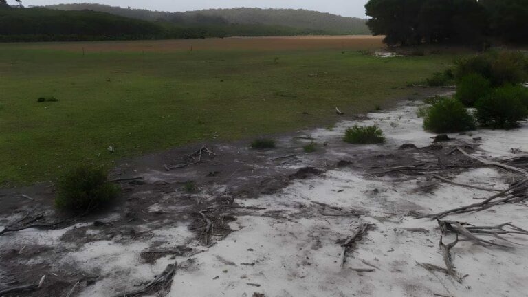Hobart beach camping area to bondi lake walk (5km)