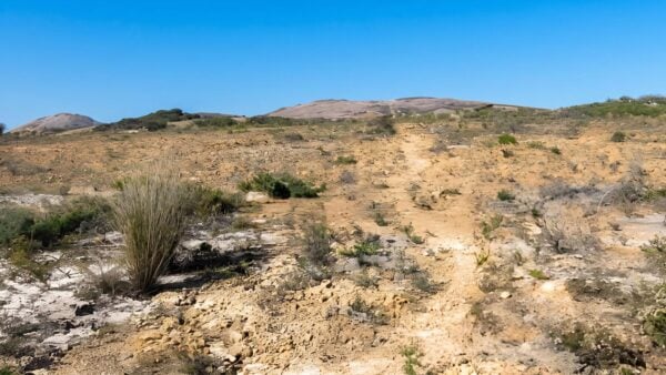 Mount arid walk (4km)