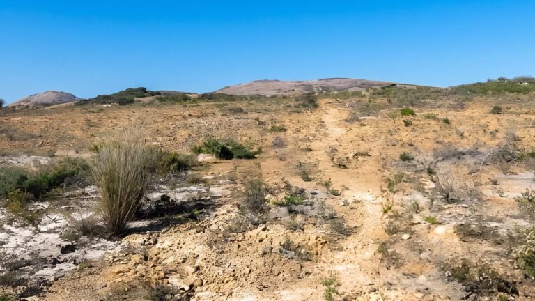 Mount Arid Walk (4km) Mount arid walk (4km)
