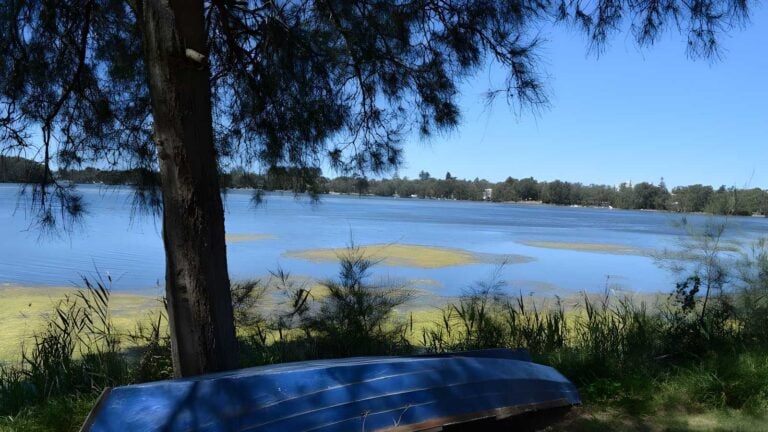 Narrabeen Lagoon Trail from Middle Creek (8.6km) Narrabeen lagoon trail from middle creek (8. 6km)