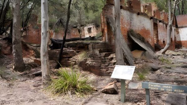 Newnes Industrial Ruins Walk (2.5km) Newnes industrial ruins walk (2. 5km)