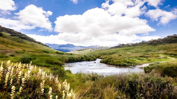 Pilot wilderness - cascade hut to barry way hike (53km)