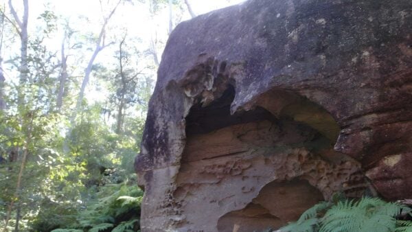 Shepherds gully & devines hill walk (4km)