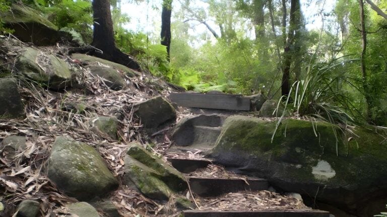 Step Track (2.7km) Step track (2. 7km)