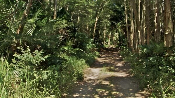Tamboi walking track (5. 6km)