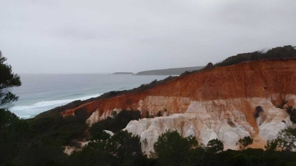 The pinnacles loop walk (1. 1km)