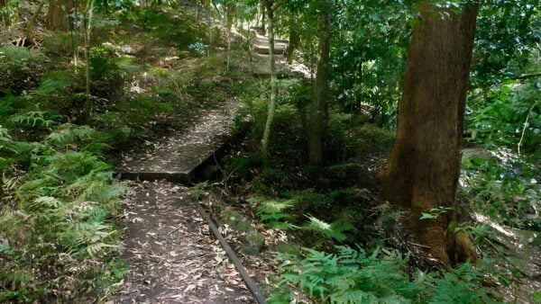 Cascades walk (2km)