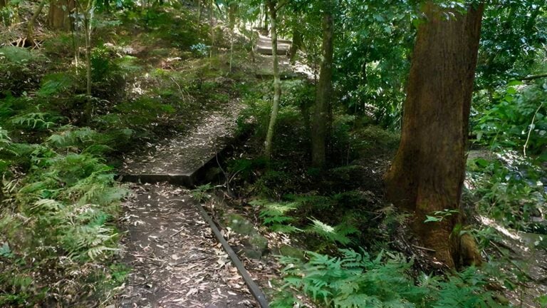 Cascades Walk (2km) Cascades walk (2km)