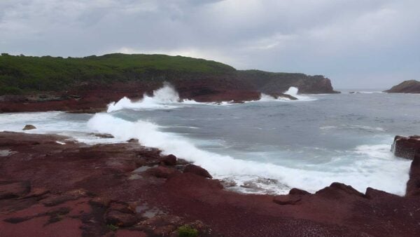 Saltwater creek to mowarry point hike (8. 5km)