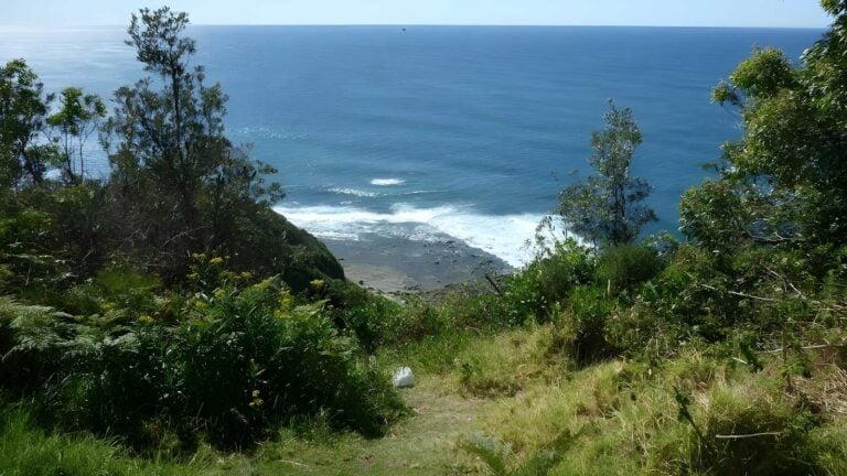 Stephenson Road to Crackneck Lookout Walk (600m) Stephenson road to crackneck lookout walk (600m)