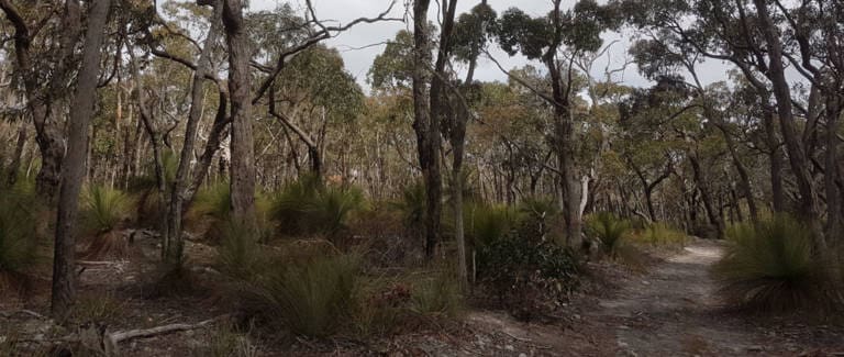 The burchell trail trail hiking australia 2